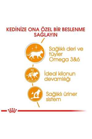 Royal Canin Hair & Skin Jöleli Kedi Konservesi 85gr - Thumbnail