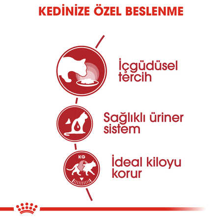 Royal Canin Instinctive Gravy Kedi Konservesi 85gr - Thumbnail