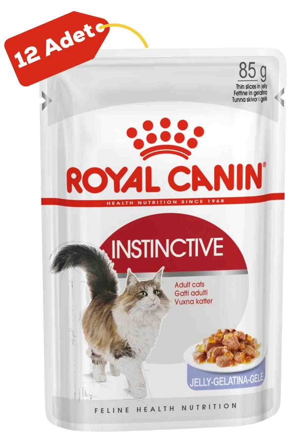 Royal Canin Instinctive Jöleli Kedi Konservesi 12x85gr (12li)