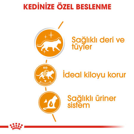 Royal Canin Hair&Skin Gravy Kedi Konservesi 12x85gr 12li - Thumbnail