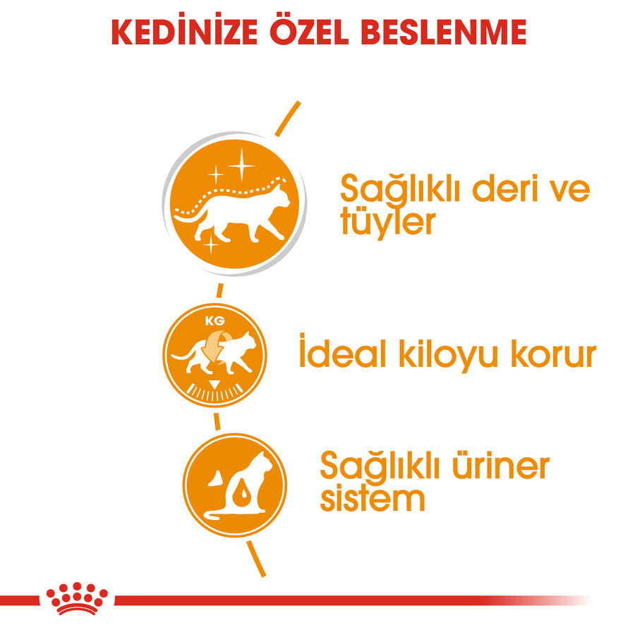 Royal Canin Hair&Skin Gravy Kedi Konservesi 12x85gr 12li