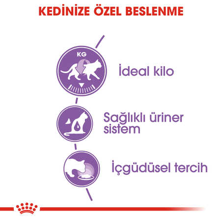 Royal Canin Gravy Kısırlaştırılmış Yetişkin Kedi Konservesi 85gr - Thumbnail