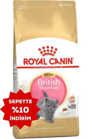 Royal Canin British Shorthair Kitten Yavru Kedi Maması 2kg