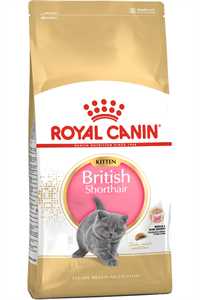 Royal Canin British Shorthair Kitten Yavru Kedi Maması 2kg
