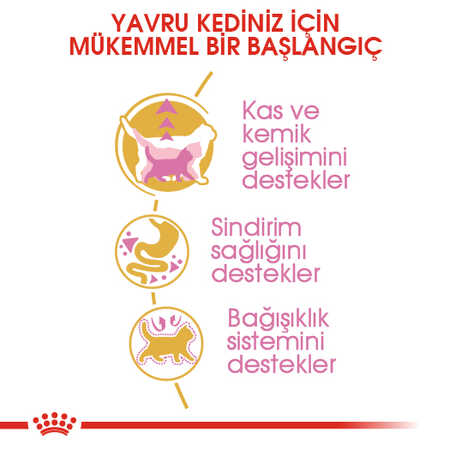 Royal Canin British Shorthair Kitten Yavru Kedi Maması 2kg - Thumbnail