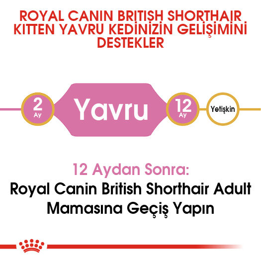 Royal Canin British Shorthair Kitten Yavru Kedi Maması 2kg