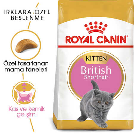 Royal Canin British Shorthair Kitten Yavru Kedi Maması 2kg - Thumbnail