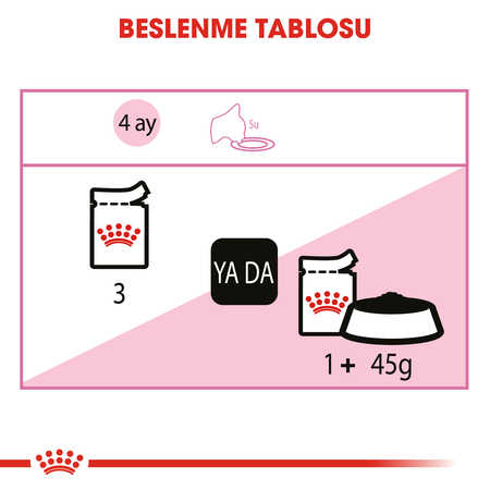 Royal Canin Kitten Gravy Yavru Kedi Konservesi 85gr - Thumbnail