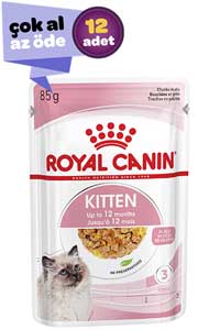 Royal Canin Kitten Jelly Yavru Kedi Konservesi 12x85gr (12li) - Thumbnail