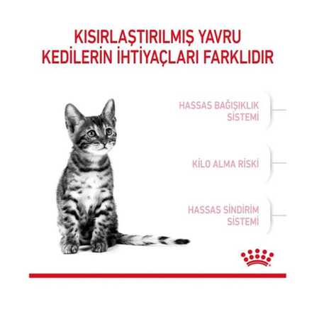 Royal Canin Kitten Sterilised Yavru Kısırlaştırılmış Kedi Maması 2kg - Thumbnail