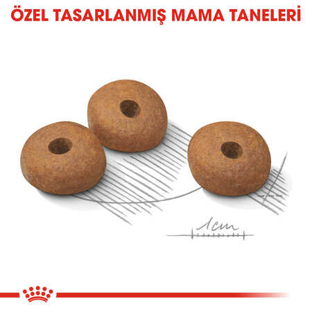 Royal Canin Light Weight Care Mini Küçük Irk Köpek Maması 3kg - Thumbnail