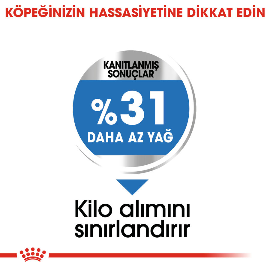 Royal Canin Light Weight Care Mini Küçük Irk Köpek Maması 3kg