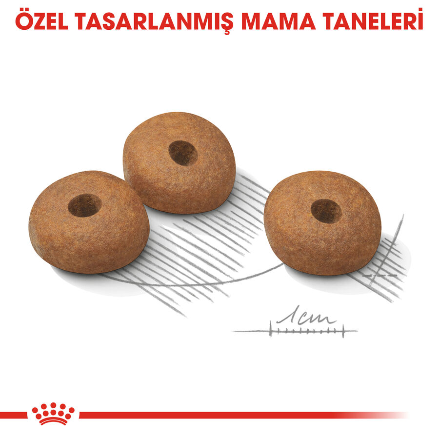 Royal Canin Light Weight Care Mini Küçük Irk Köpek Maması 3kg