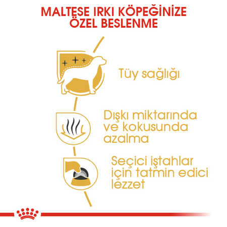 Royal Canin Maltese Yetişkin Köpek Maması 1,5kg - Thumbnail