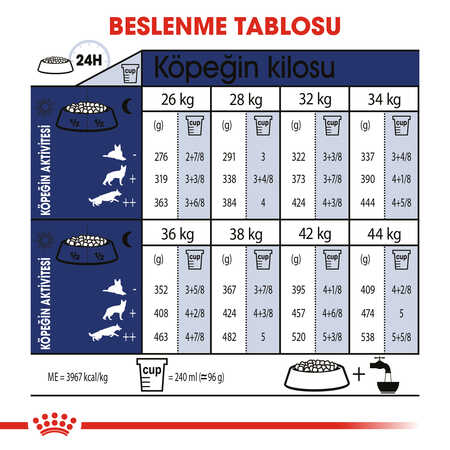 Royal Canin Maxi Adult Büyük Irk Yetişkin Köpek Maması 15kg - Thumbnail