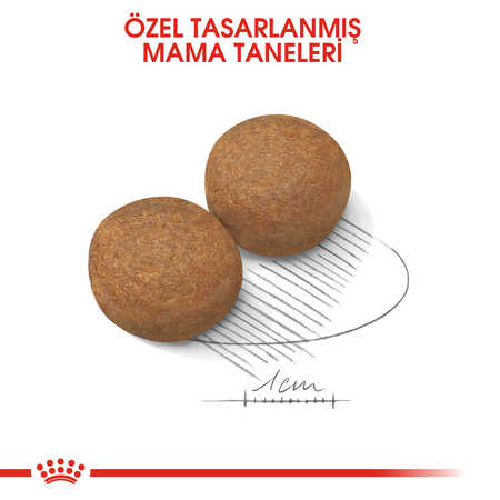 Royal Canin Maxi Adult Büyük Irk Yetişkin Köpek Maması 15kg - Thumbnail