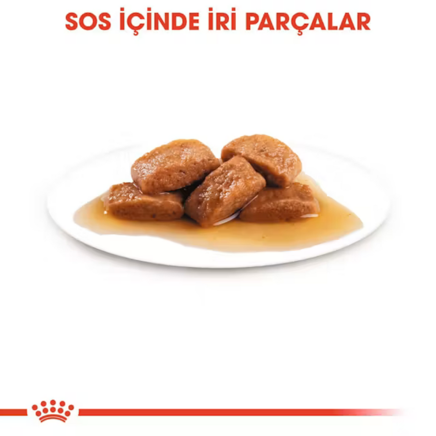 Royal Canin Büyük Irk Yetişkin Köpek Konservesi 140gr