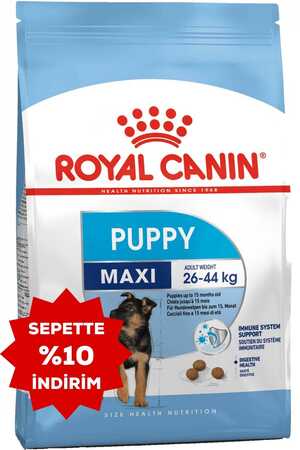 Royal Canin Maxi Puppy Büyük Irk Yavru Köpek Maması 15kg - Thumbnail