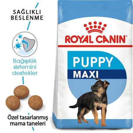 Royal Canin Maxi Puppy Büyük Irk Yavru Köpek Maması 15kg - Thumbnail