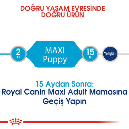 Royal Canin Maxi Puppy Büyük Irk Yavru Köpek Maması 15kg - Thumbnail