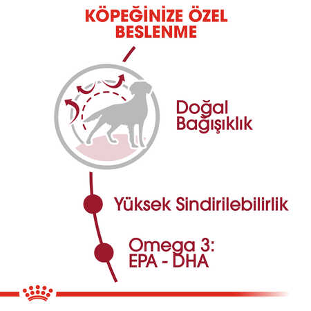 Royal Canin Medium Adult Orta Irk Yetişkin Köpek Maması 15kg - Thumbnail