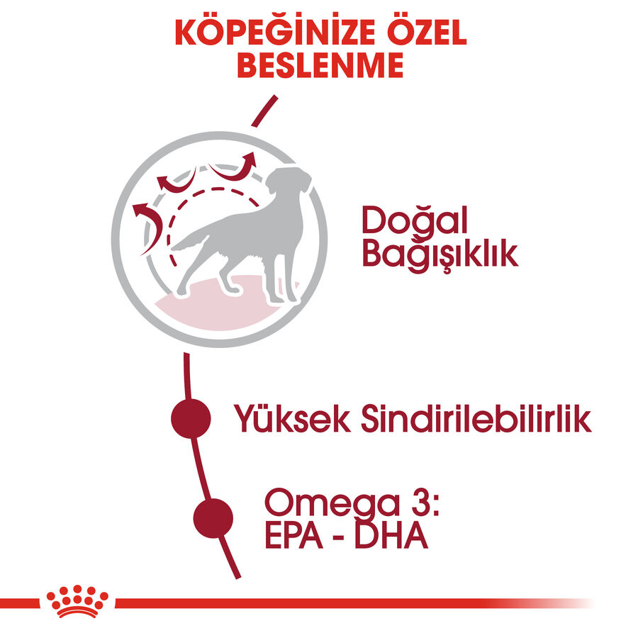 Royal Canin Medium Adult Orta Irk Yetişkin Köpek Maması 15kg