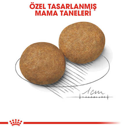 Royal Canin Medium Adult Orta Irk Yetişkin Köpek Maması 15kg - Thumbnail