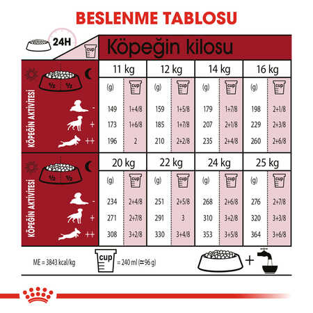 Royal Canin Medium Adult Orta Irk Yetişkin Köpek Maması 15kg - Thumbnail