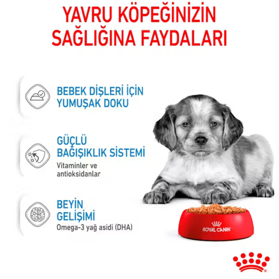 Royal Canin Orta Irk Yavru Köpek Konservesi 140gr