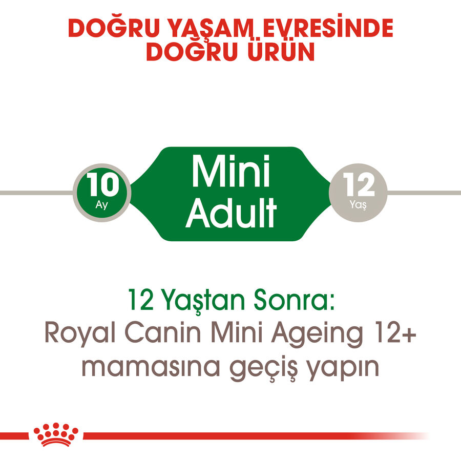 Royal Canin Mini Adult Küçük Irk Köpek Konservesi 85gr