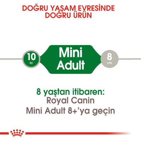 Royal Canin Mini Adult Küçük Irk Yetişkin Köpek Maması 4kg - Thumbnail