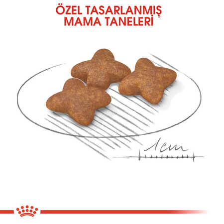 Royal Canin Mini Adult Küçük Irk Yetişkin Köpek Maması 4kg - Thumbnail