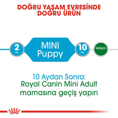 Royal Canin Mini Puppy Küçük Irk Yavru Köpek Konservesi 85gr - Thumbnail