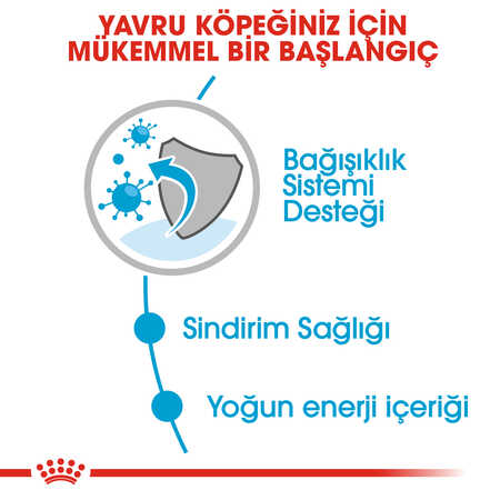 Royal Canin Mini Puppy Küçük Irk Yavru Köpek Konservesi 85gr - Thumbnail