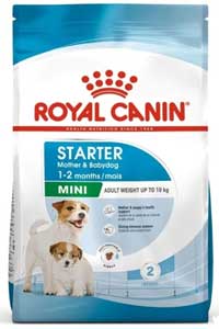 ROYAL CANIN - Royal Canin Mini Starter Köpek Maması 4kg