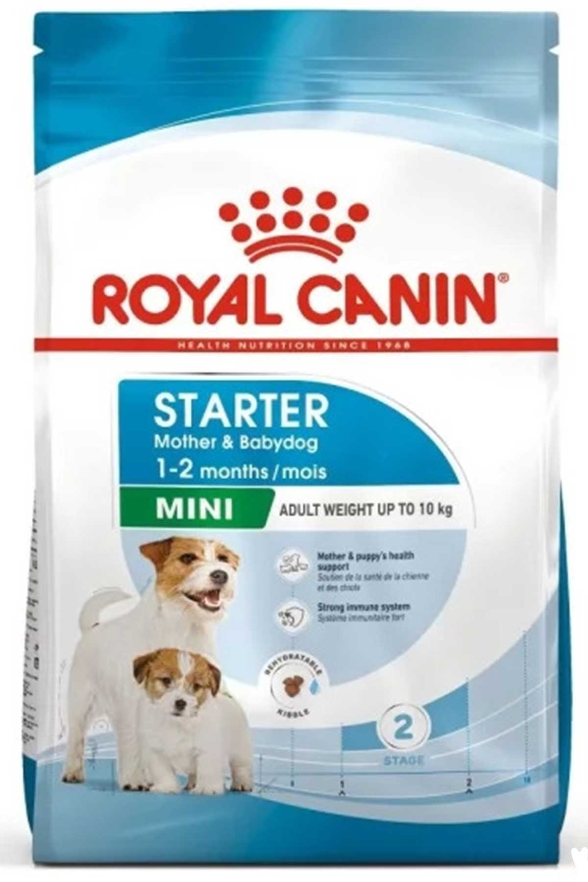 Royal Canin Mini Starter Köpek Maması 4kg