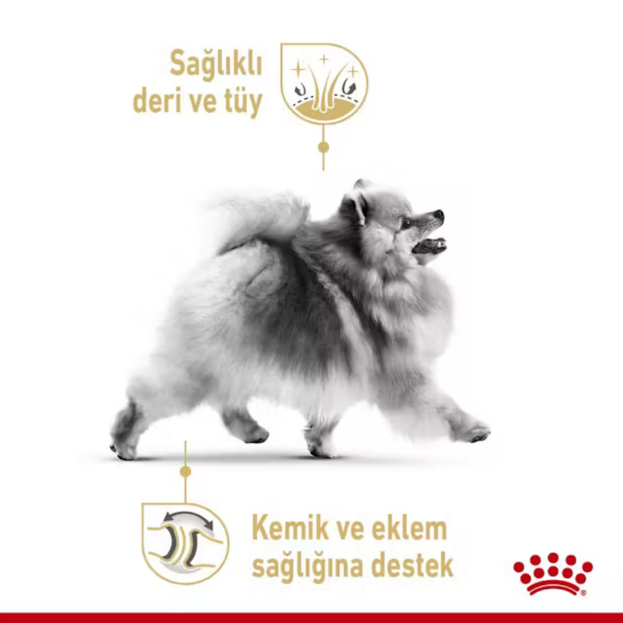 Royal Canin Pomeranian Özel Irk Yetişkin Köpek Maması 3kg