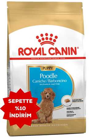 Royal Canin Poodle Irkı Yavru Köpek Maması 3kg