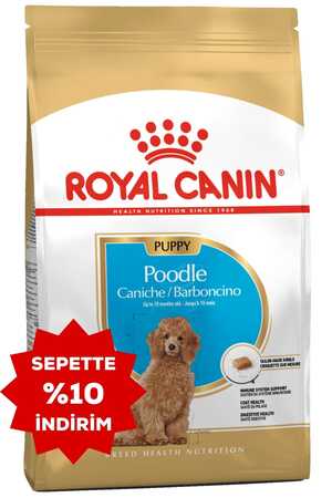 Royal Canin Poodle Irkı Yavru Köpek Maması 3kg