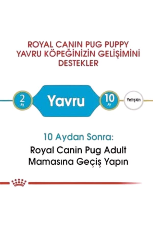 Royal Canin Pug Puppy Yavru Köpek Maması 1,5kg