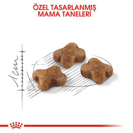 Royal Canin Second Age Kitten 4 İle 12 Aylık Yavru Kedi Maması 10kg - Thumbnail