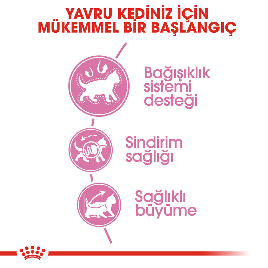 Royal Canin Second Age Kitten 4 İle 12 Aylık Yavru Kedi Maması 10kg