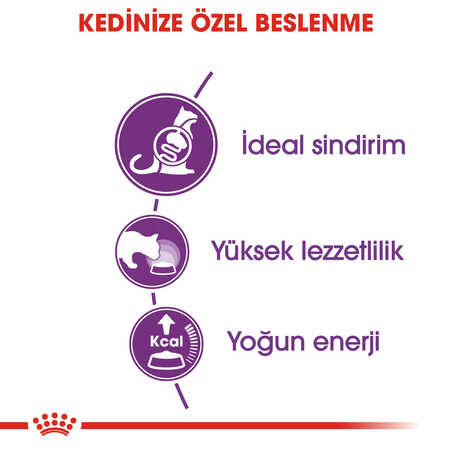 Royal Canin Sensible 33 Hassas Sindirim Sistemi olan Kediler İçin Yetişkin Kedi Maması 4kg - Thumbnail