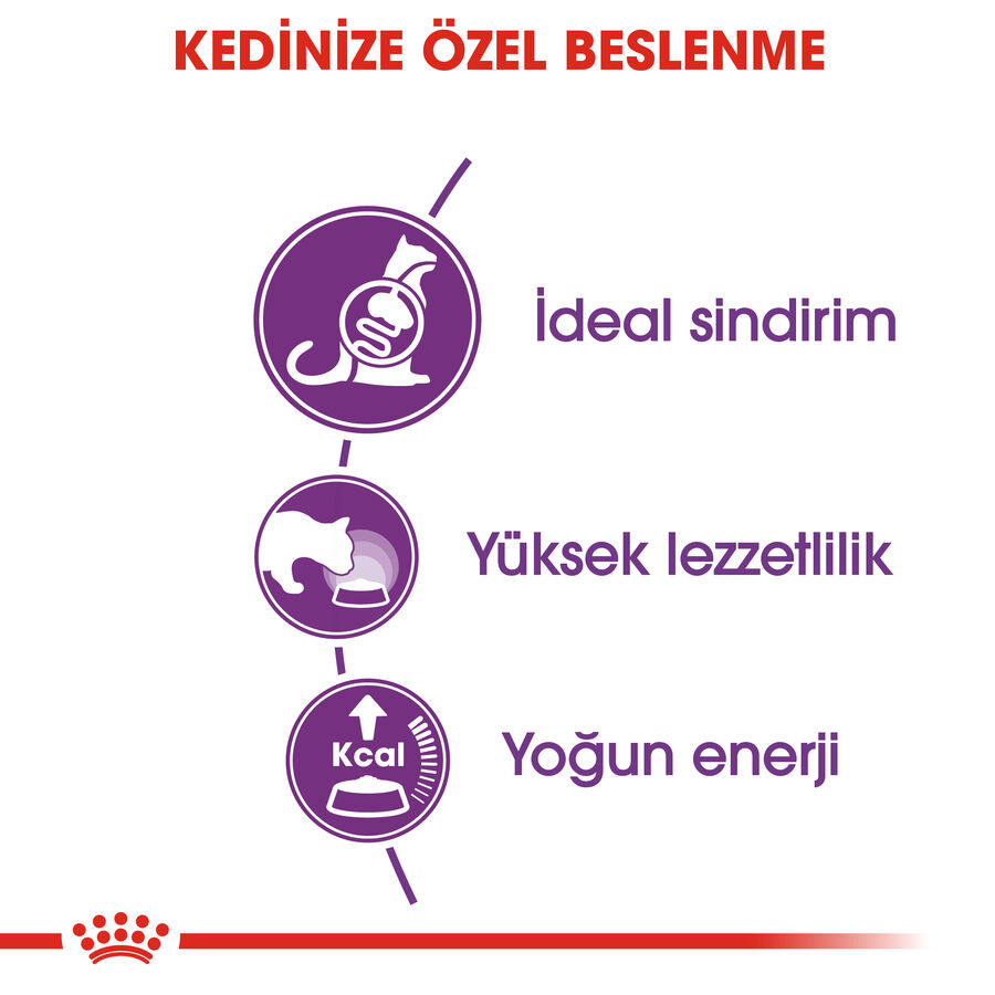 Royal Canin Sensible 33 Hassas Sindirim Sistemi olan Kediler İçin Yetişkin Kedi Maması 4kg