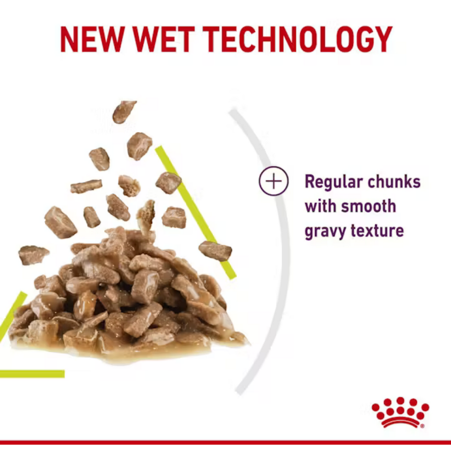 Royal Canin Sensory Smell Yetişkin Kedi Konservesi 85gr