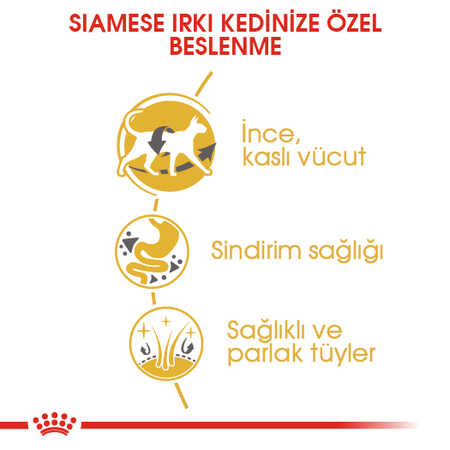 Royal Canin Siamese Siyam Irkı Yetişkin Kedi Maması 2kg - Thumbnail