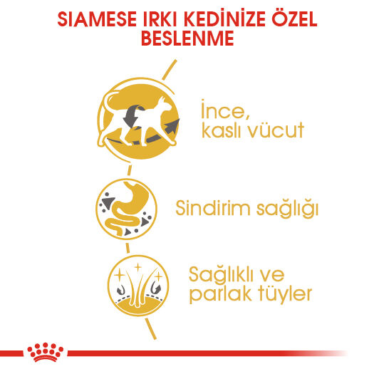 Royal Canin Siamese Siyam Irkı Yetişkin Kedi Maması 2kg