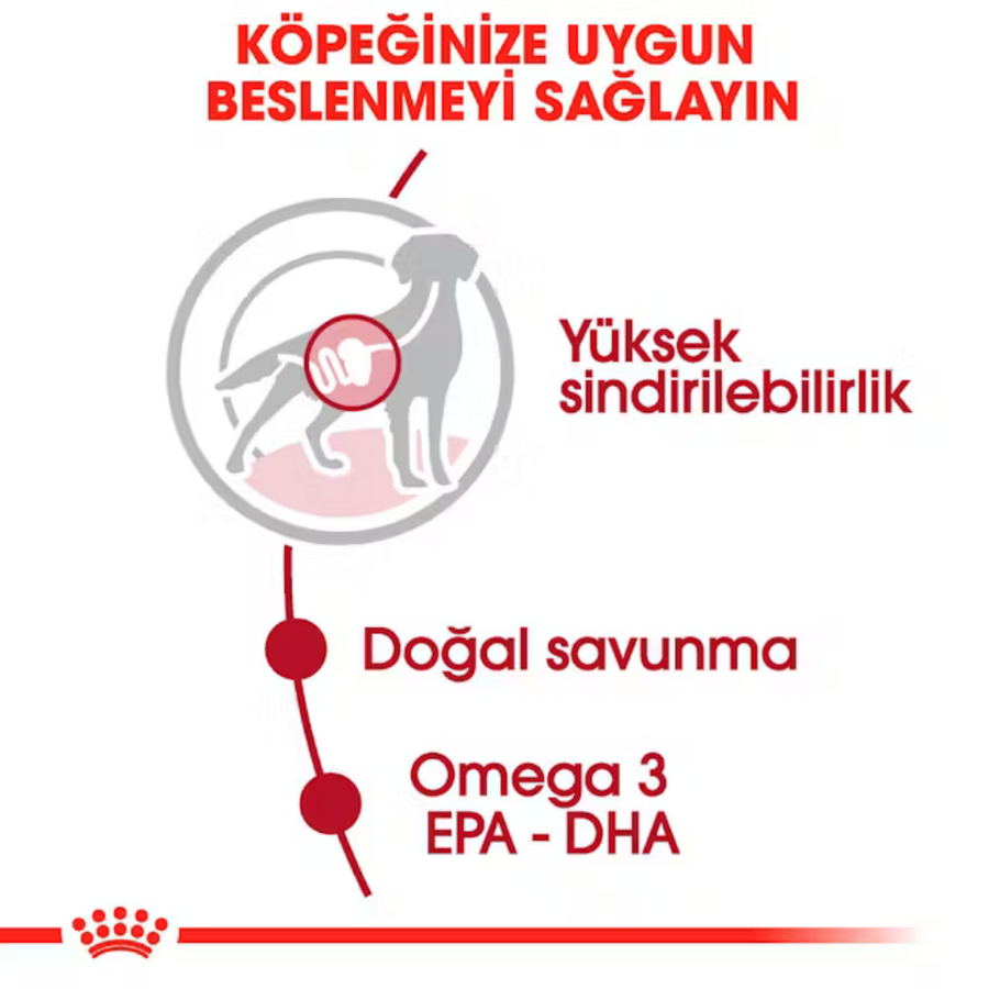 Royal Canin Orta Irk Yetişkin Köpek Konservesi 140gr