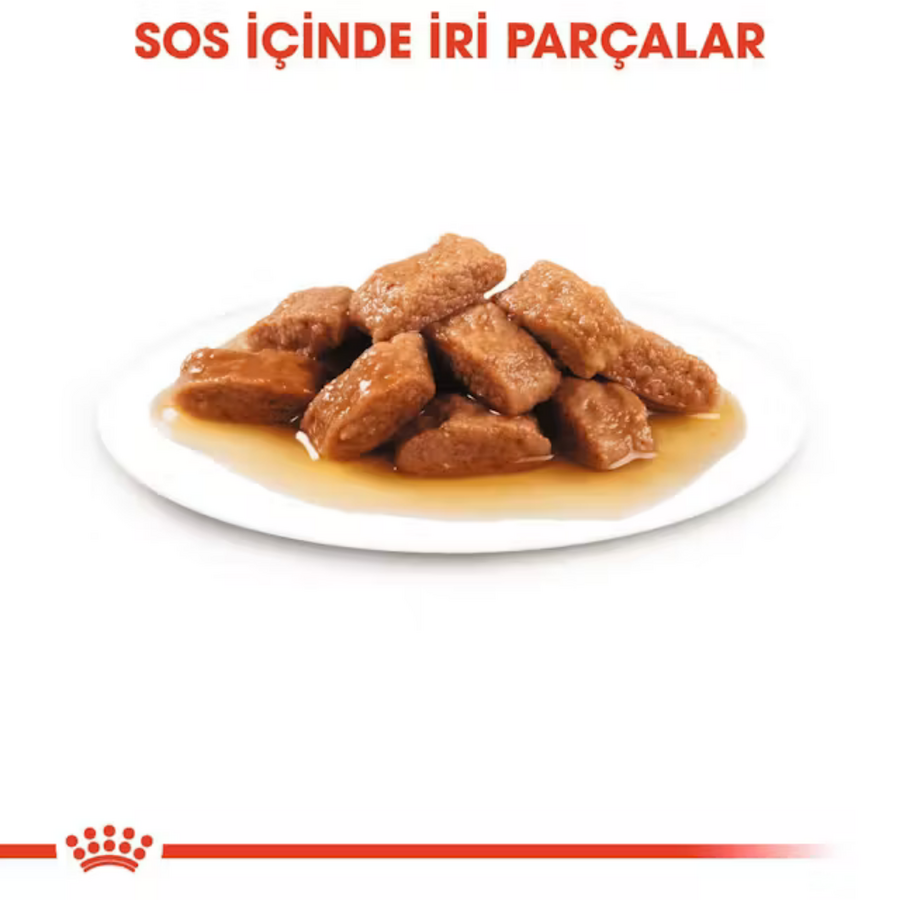 Royal Canin Orta Irk Yetişkin Köpek Konservesi 140gr