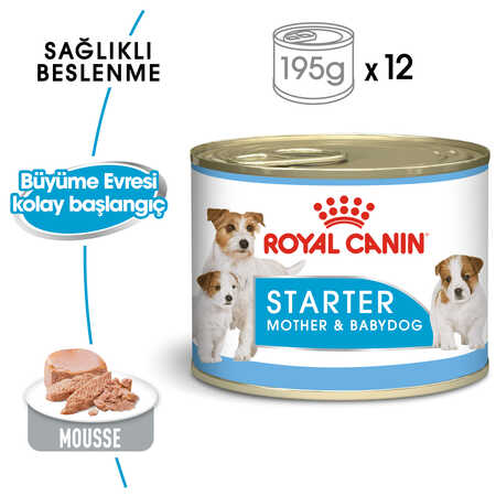 Royal Canin Starter Mousse Mother Babydog 195gr - Thumbnail